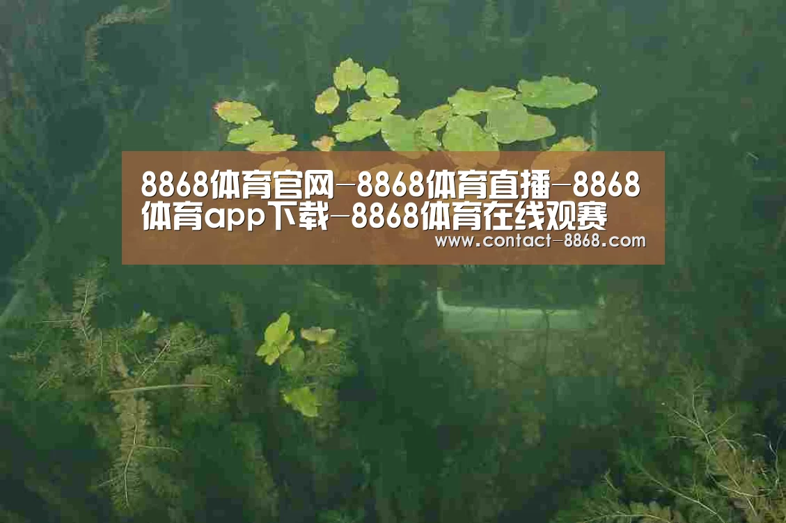 案例展示三(图1)