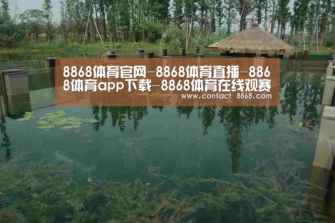 案例展示二(图1)