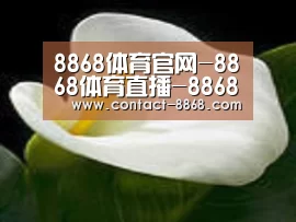 产品名称七