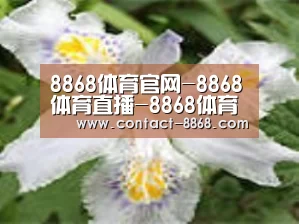产品名称二